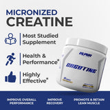 Scoop of Alpha Supps Creatine Monohydrate powder