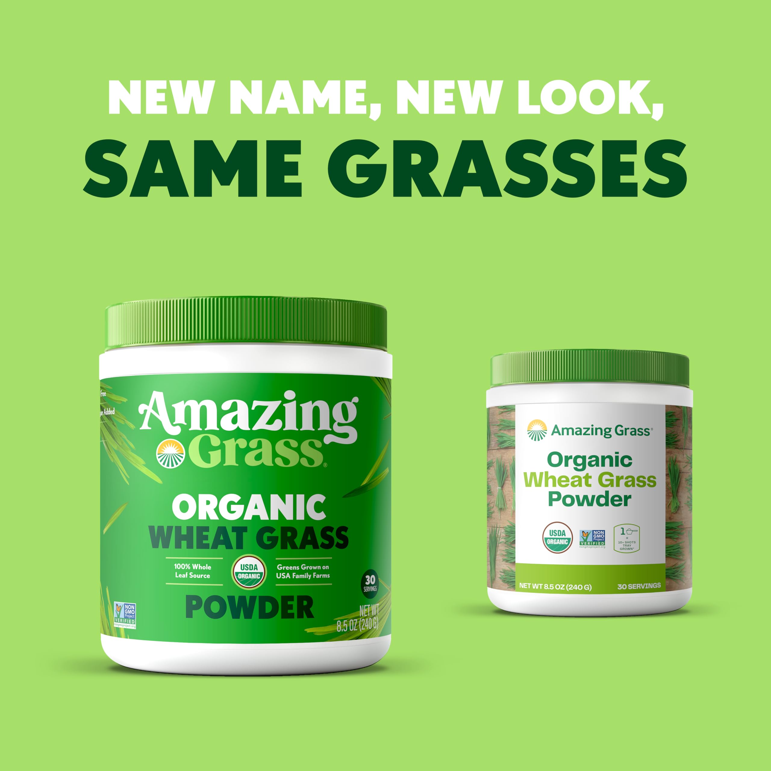 Scoop of Amazing Grass Organic Wheat Grass Powder on a wooden table