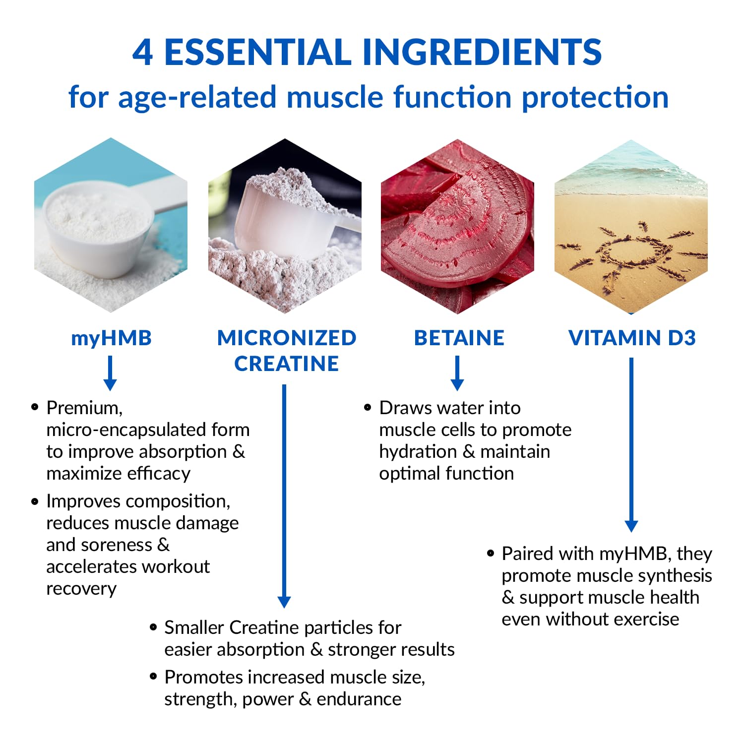 Scoop of BioTrust Ageless Muscle Creatine HMB Powder