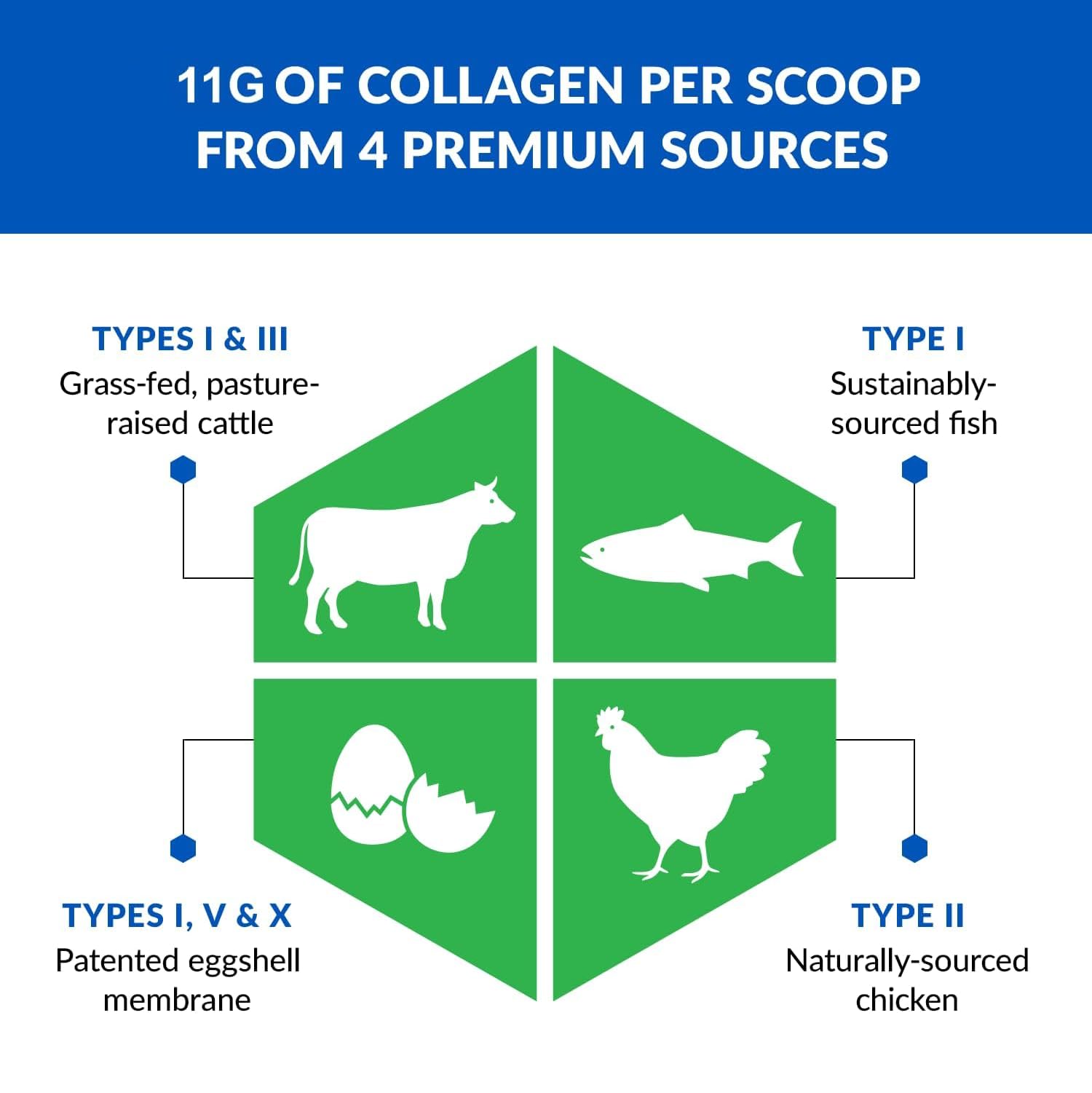 Scoop of BioTrust Multi Collagen + Keto Unflavored Powder