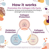 Scoop of Body Kitchen Collagen Powder on a wooden surface