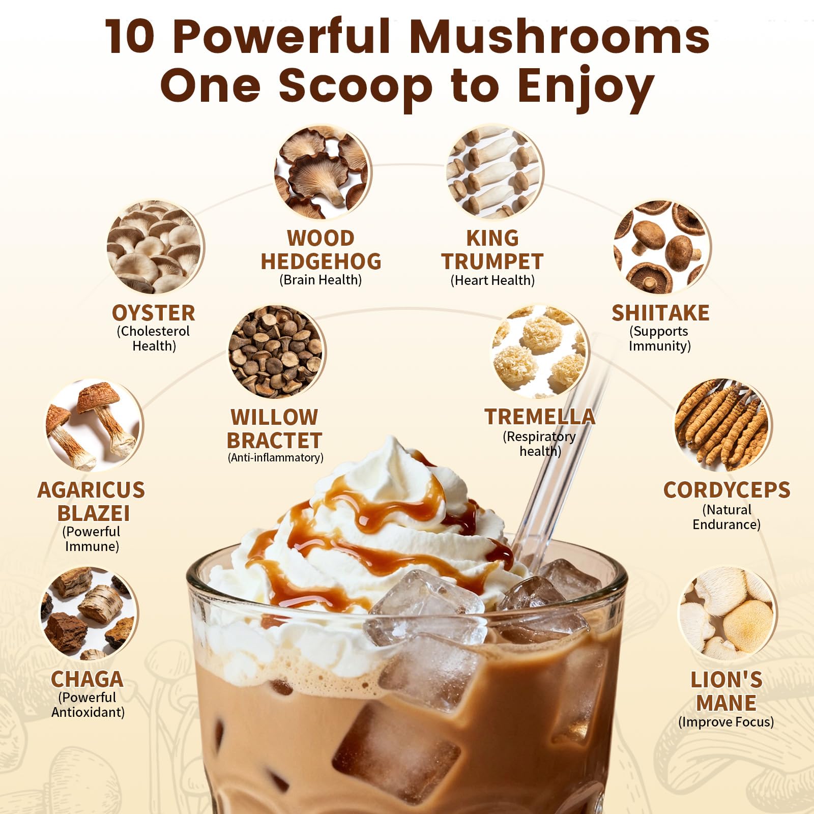 Scoop of Catfit Mushroom Coffee Blend powder