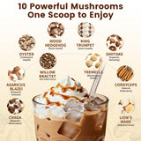 Scoop of Catfit Mushroom Coffee Blend powder