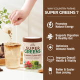 Scoop of Country Farms Super Greens Chocolate Drink Mix powder
