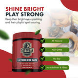 Scoop of Daybreak Nutrition L-Lysine Powder for Cats