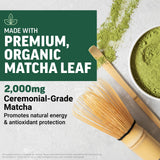 Scoop of Force Factor Mighty Matcha Powder