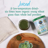 Scoop of Garden of Life Chlorophyll Superfood powder on a wooden spoon
