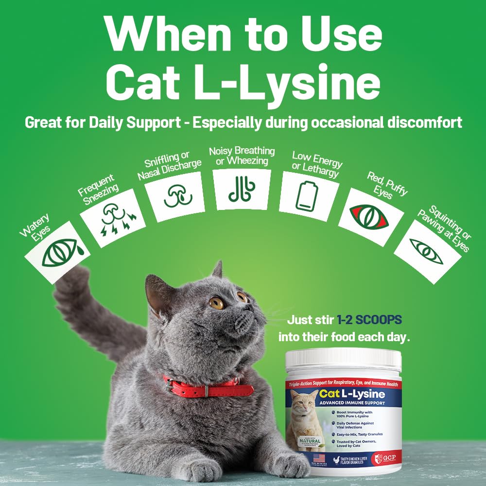 Scoop of Guardian's Choice L-Lysine Powder for Cats