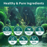 Scoop of Hudetex Chlorella Powder on a wooden spoon