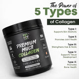 Scoop of Impact Total Fitness Multi Collagen Protein Powder