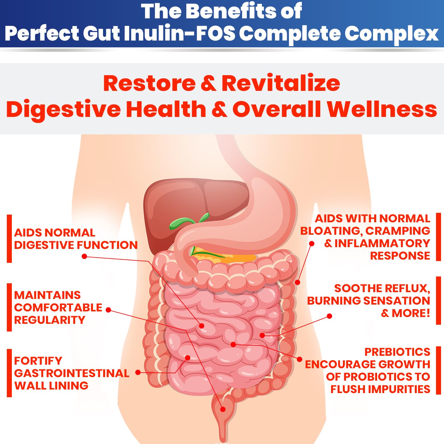 Scoop of Kidney Restore Perfect Gut Inulin FOS powder on a wooden spoon
