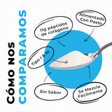 Scoop of Left Coast Performance Collagen Peptides powder