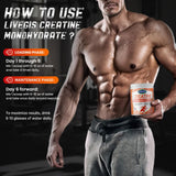 Scoop of LIVEGIS Creatine Monohydrate 5g Powder