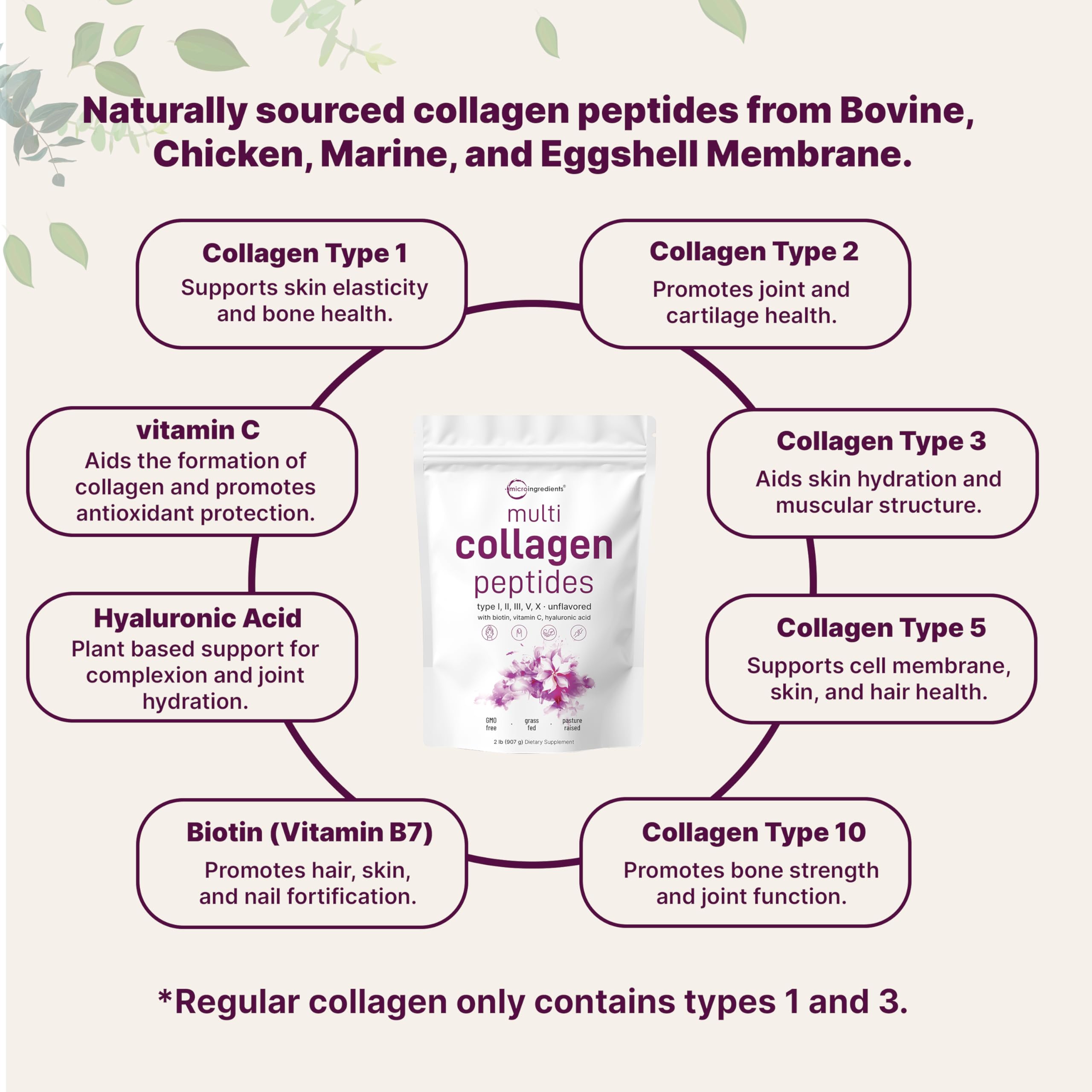 Scoop of Micro Ingredients Hydrolyzed Collagen Peptides Powder
