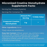 Scoop of MYOXCIENCE Creatine Monohydrate powder on a surface