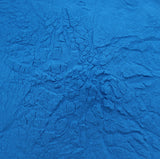 Scoop of Naturejam Organic Blue Spirulina Powder
