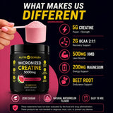Scoop of Nutrigenius + Creatine Monohydrate powder