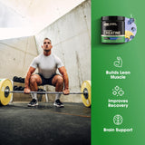 Scoop of Optimum Nutrition Creatine Monohydrate Blueberry Lemonade