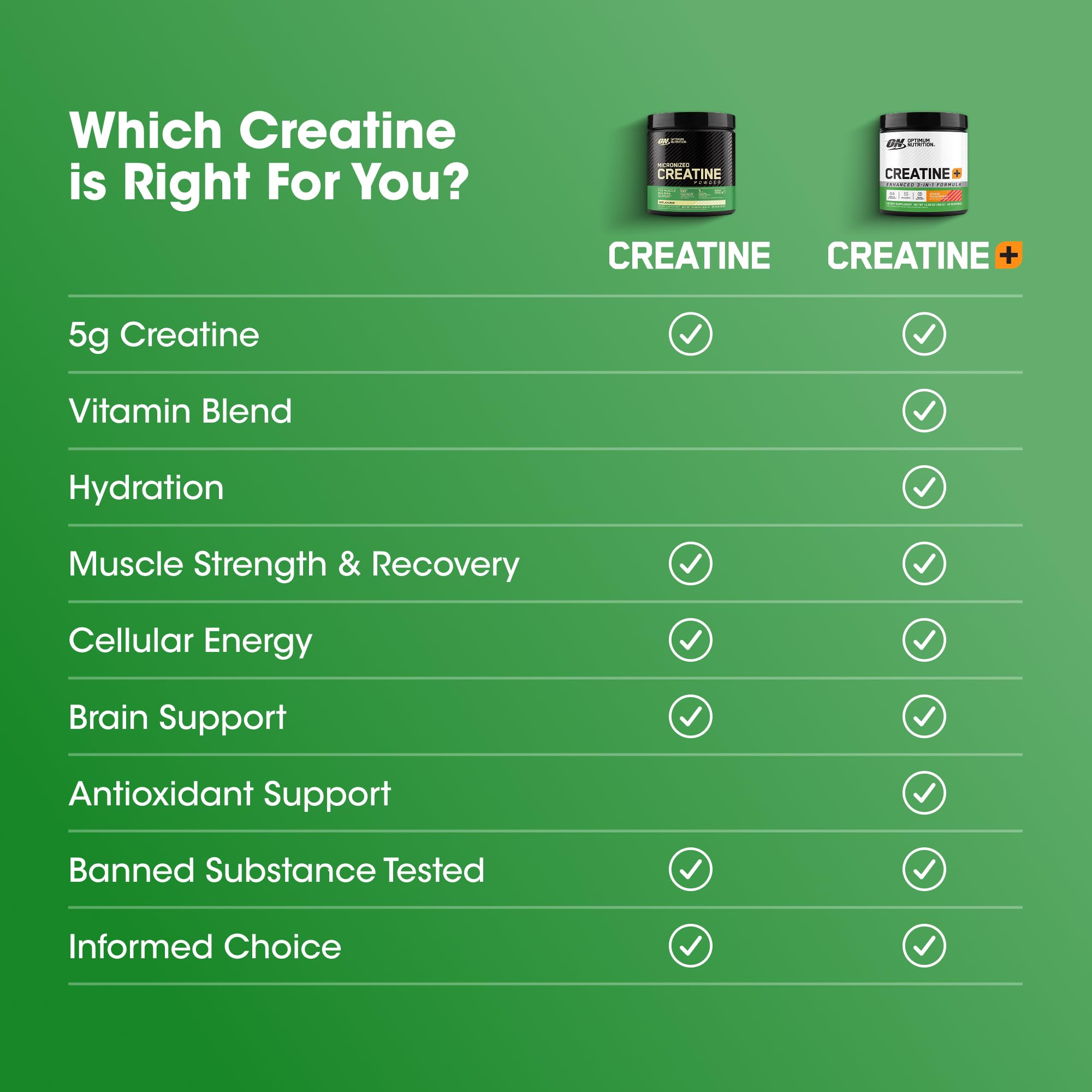 Scoop of Optimum Nutrition Micronized Creatine Powder on a kitchen counter
