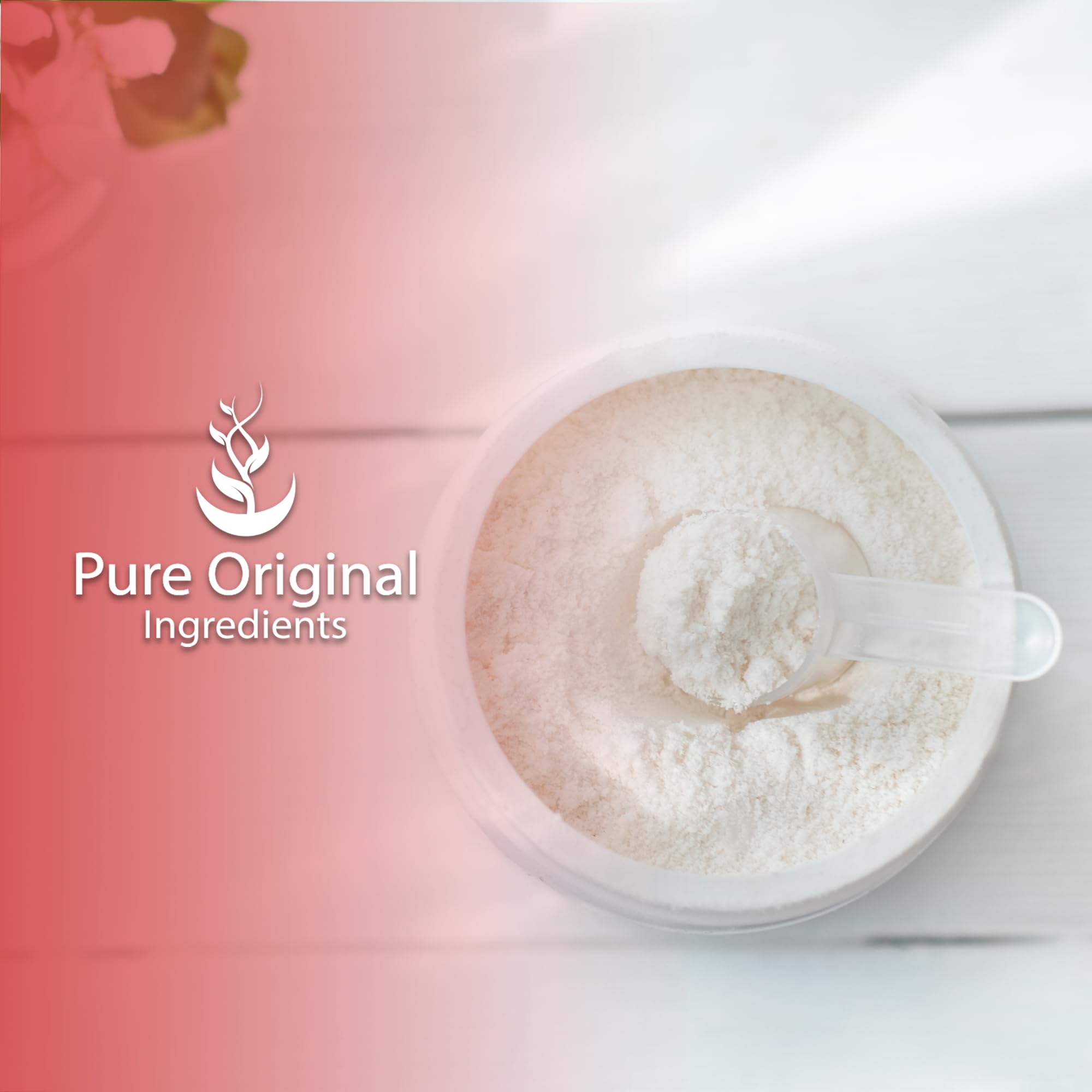Scoop of PURE ORIGINAL INGREDIENTS L-Histidine Powder on a wooden table