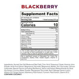 Scoop of REDMOND Re-Lyte daily wellness Multivitamin Drink Mix Blackberry