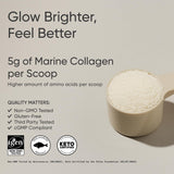 Scoop of Sports Research Marine Collagen Peptides Powder on a wooden table