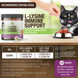 Scoop of Strawfield Pets L-Lysine Granules