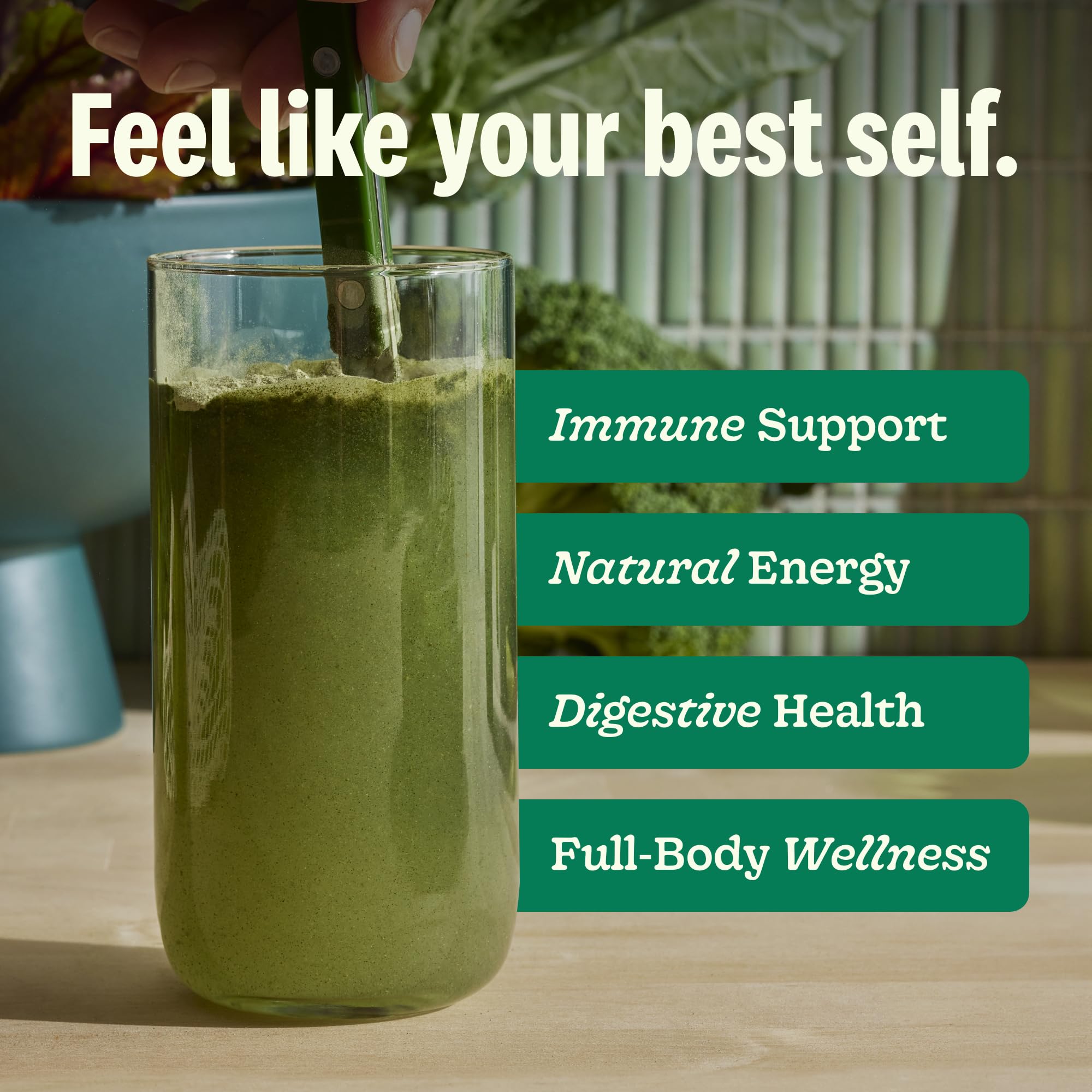 Scoop of Suja Organic Greens Powder on a spoon