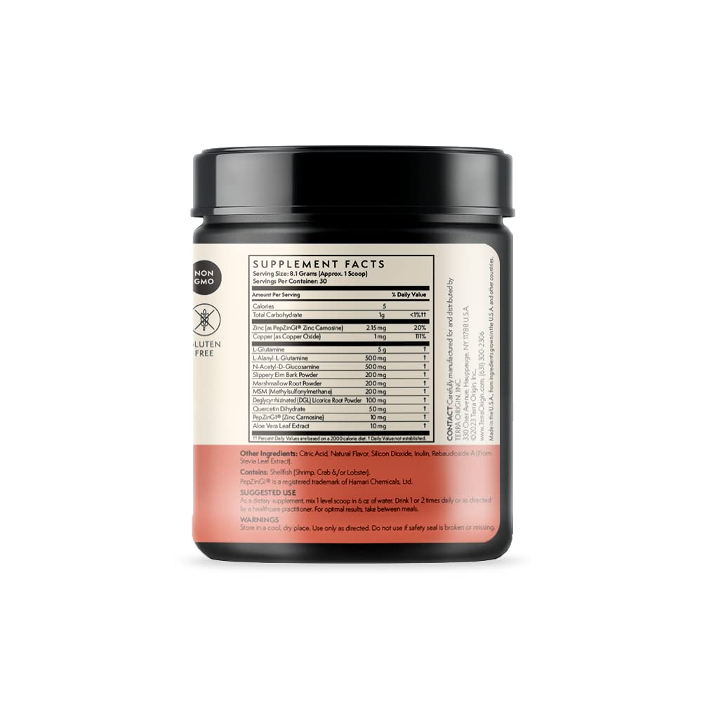 Scoop of TERRA ORIGIN Healthy Gut Powder on a wooden spoon
