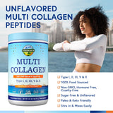 Scoop of Terranics Multi Collagen Peptides Powder on a spoon