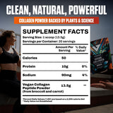 Scoop of VEDGE Plant-Based Collagen Powder on a table