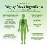 Scoop of VIDAPURA Mighty Maca Mango superfood drink powder