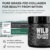 Scoop of Wild Foods Collagen Peptides Powder on a table