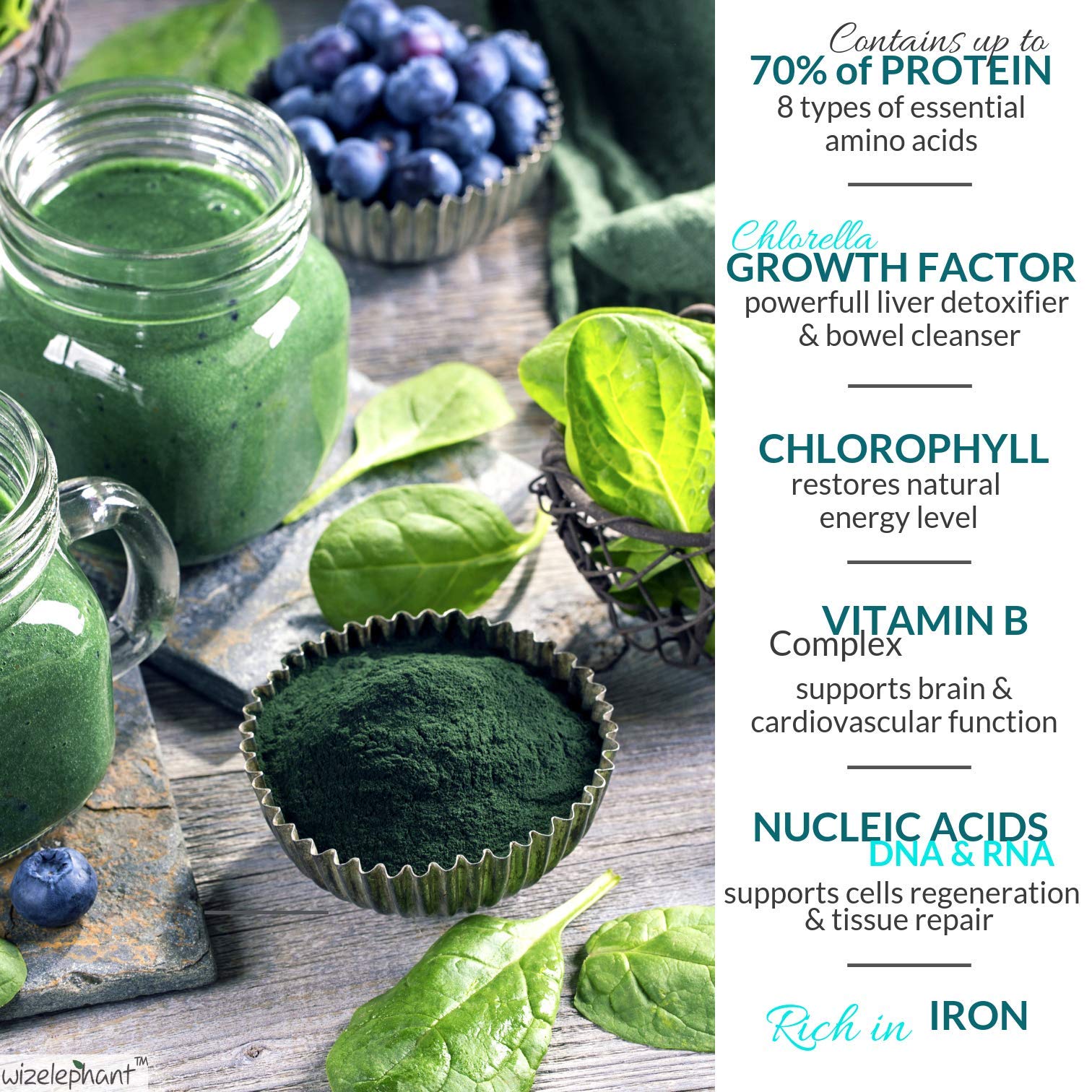 Scoop of Wizelephant Organic Chlorella Spirulina Powder on a wooden spoon