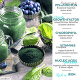 Scoop of Wizelephant Organic Chlorella Spirulina Powder on a wooden spoon