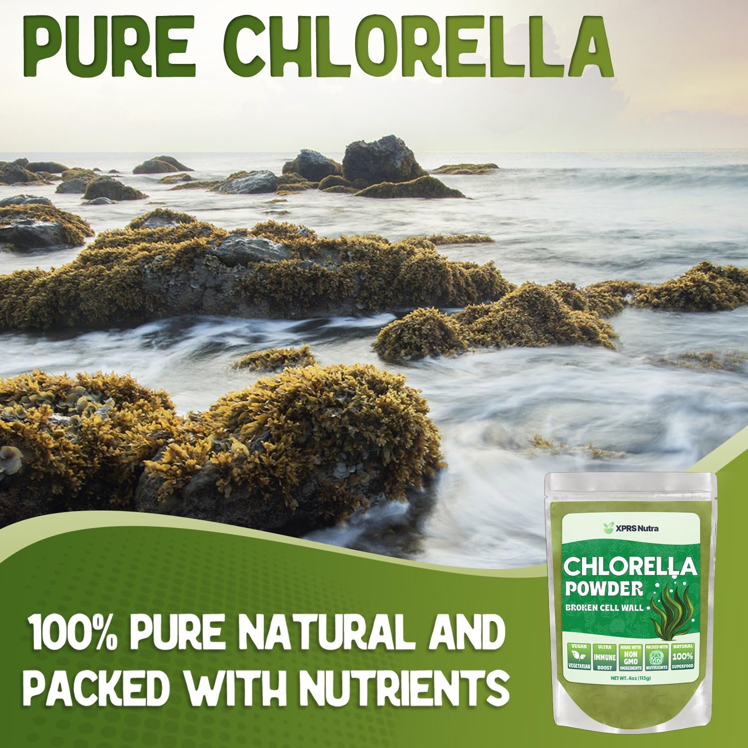 Scoop of XPRS Nutra Chlorella Powder on a wooden spoon