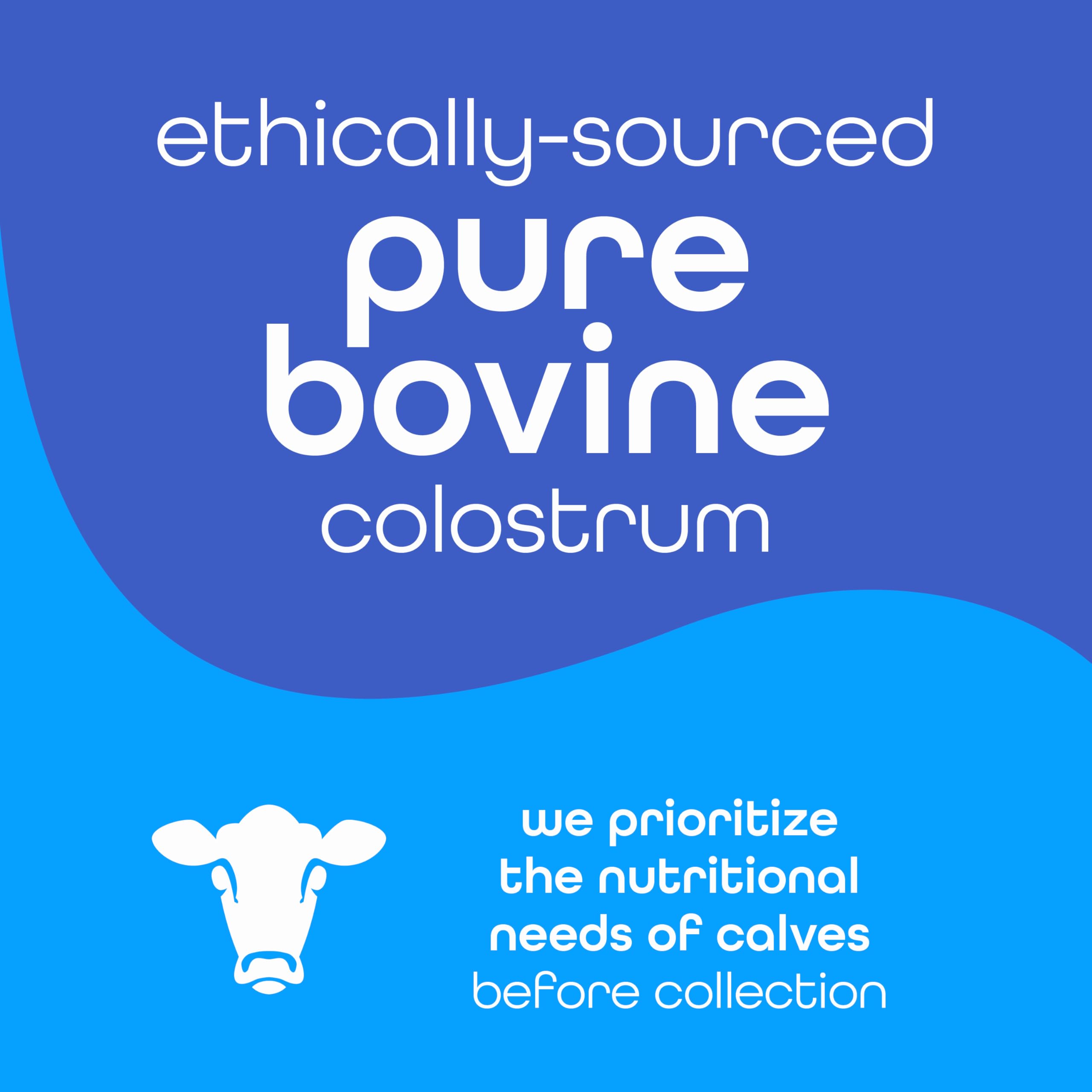 Scoop of Zena Nutrition Pure Colostrum Powder on a table