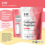 Scoop of Zint Collagen Powder on a wooden spoon