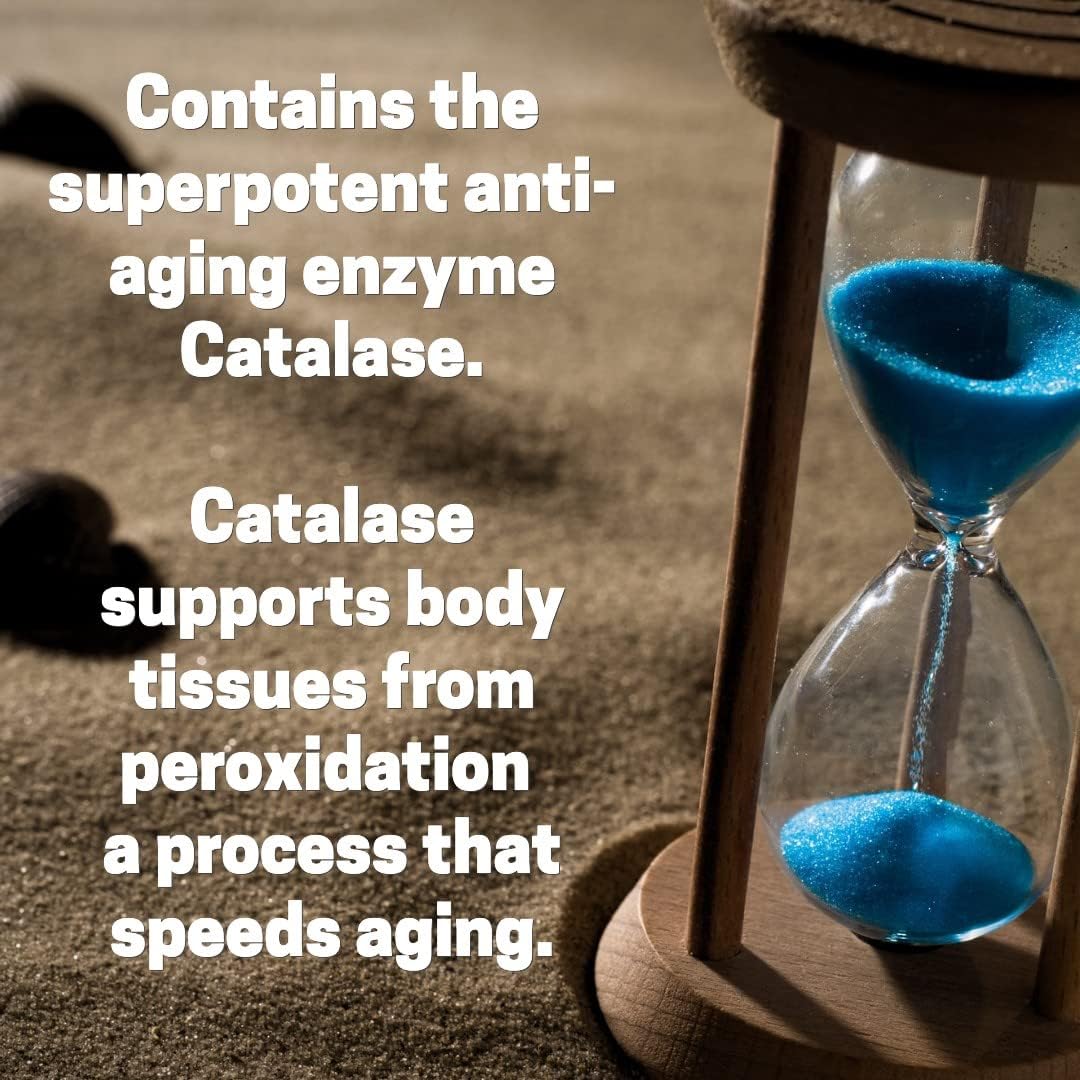 Script Essentials Catalase Enzyme Supplement bottle top view