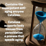 Script Essentials Catalase Enzyme Supplement bottle top view