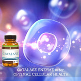 Script Essentials Catalase Enzyme Supplement with measuring spoon