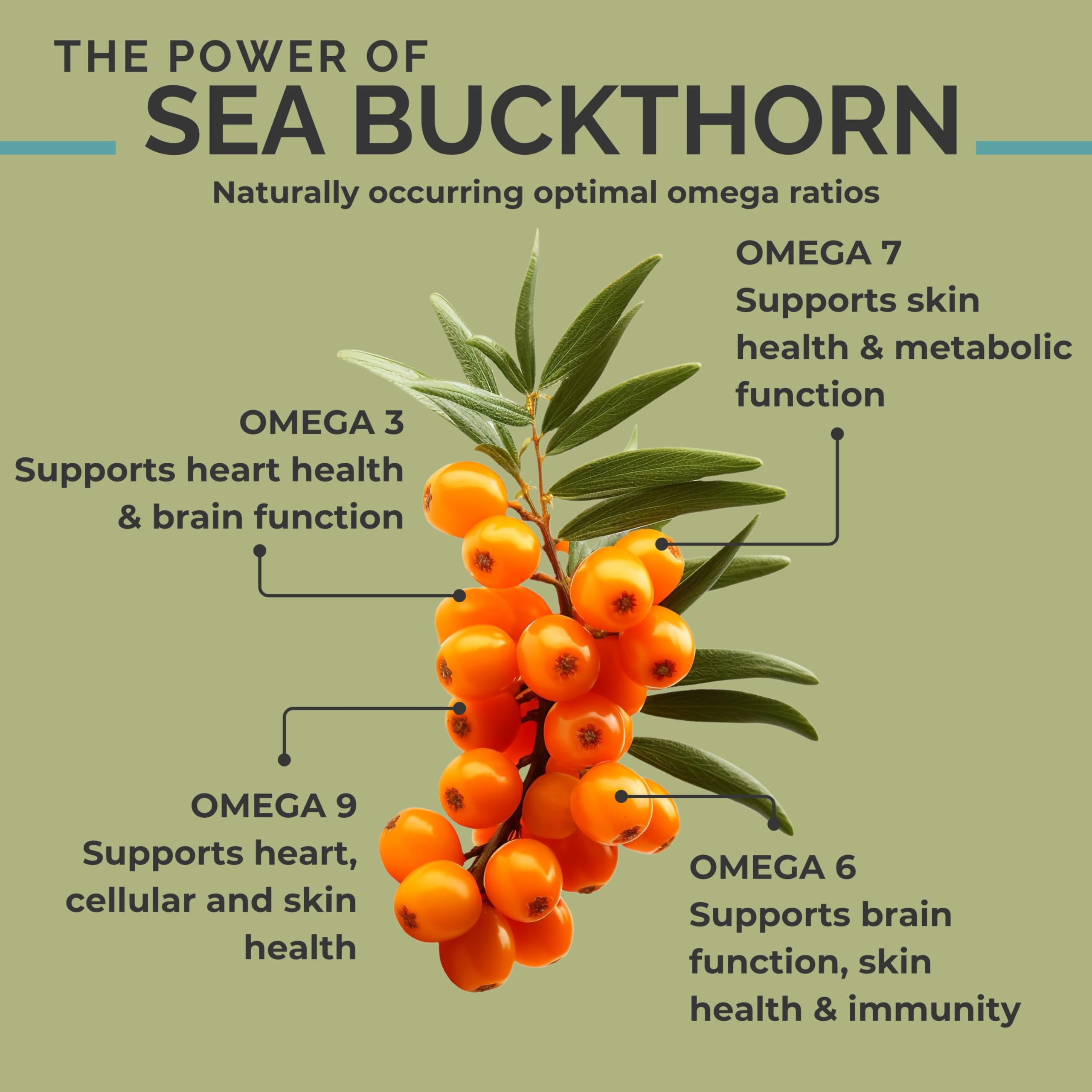 SEABUCKWONDERS Sea Buckthorn Oil Omega 3-6-9 bottle with softgels