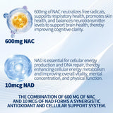 SEAFLEX NAC 600mg softgel capsules side view
