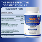 SEAFLEX NMN Complex 10-in-1 Supplement 1000mg capsules in a hand