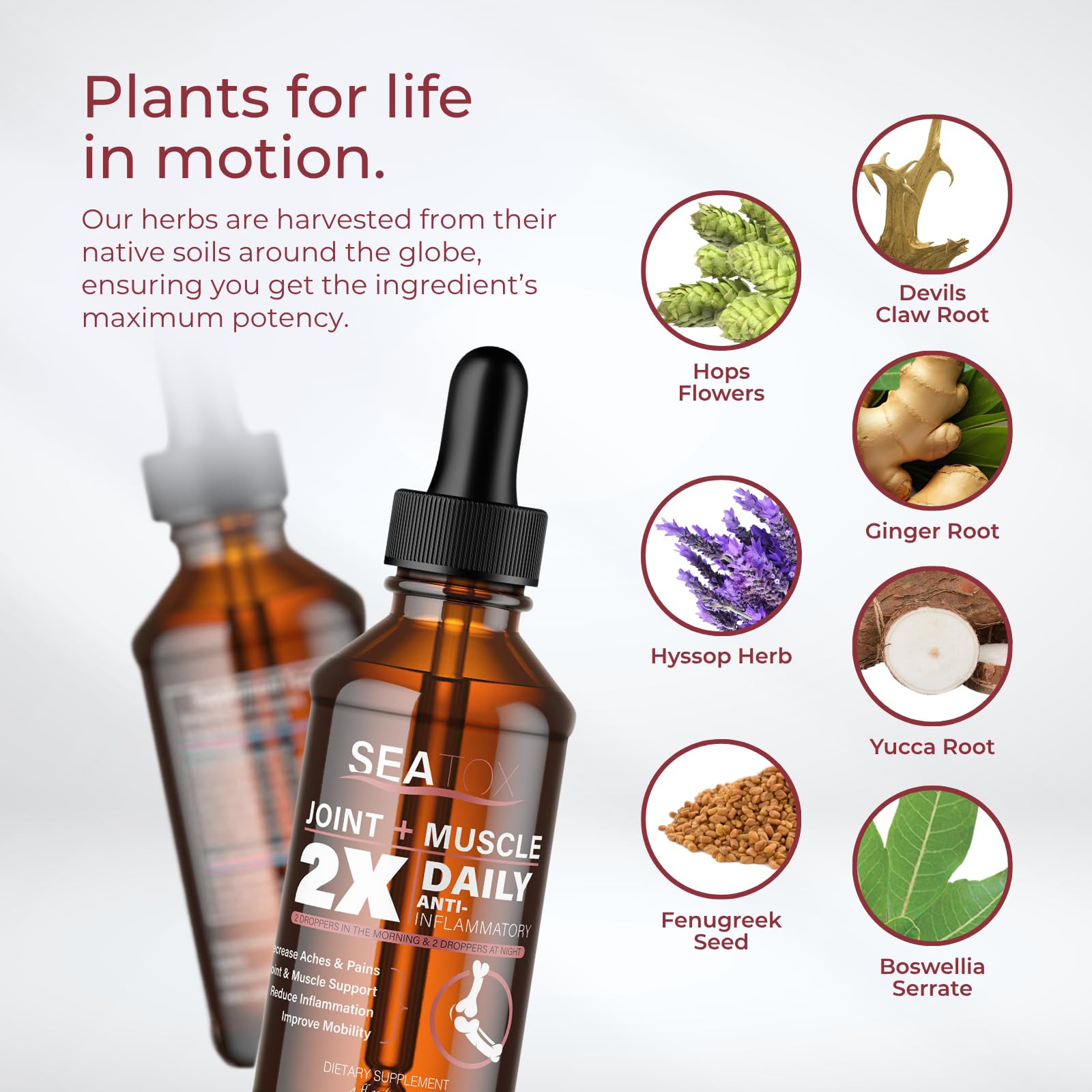 SeaTox Joint + Muscle Liquid Drops 141g lifestyle use