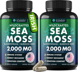 Secret Element Wildcrafted Sea Moss Capsules front view