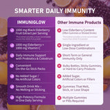 Secret Forest Daily Wellness Drink Mix preparation with water