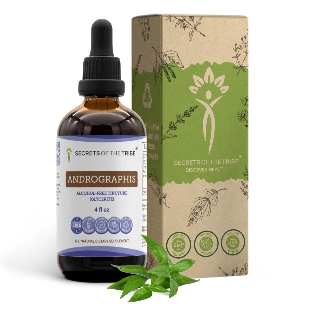 Secrets of the Tribe Andrographis Paniculata Liquid Drops front view