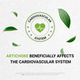 Secrets of the Tribe Artichoke Liquid Supplement packaging