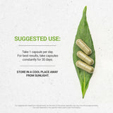 Secrets of the Tribe Barberry Capsules side view